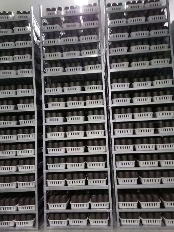 展架貨架用不銹鋼管菌菇育苗架 展架貨架用不銹鋼管菌菇育苗架